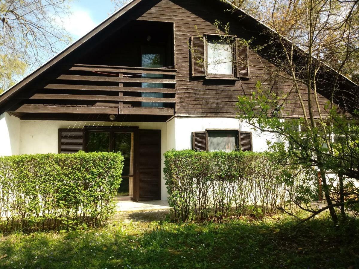 Villa Apartman 3 Haloszobaval à Bük Extérieur photo