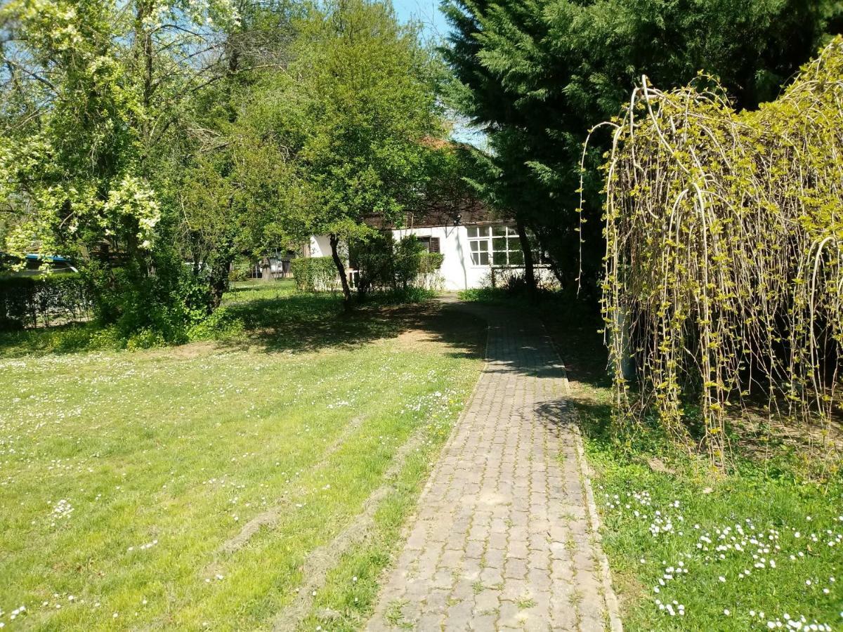 Villa Apartman 3 Haloszobaval à Bük Extérieur photo